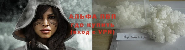 хмурый Алзамай