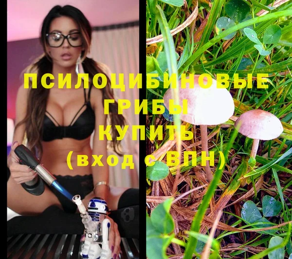 дживик Алексеевка