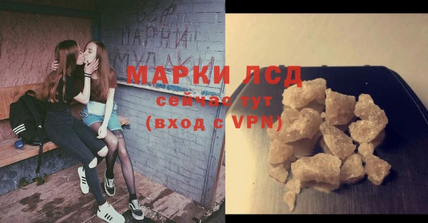 хмурый Алзамай