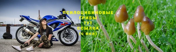 хмурый Алзамай