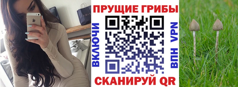 купить   mega вход  Галлюциногенные грибы Magic Shrooms  Дюртюли 