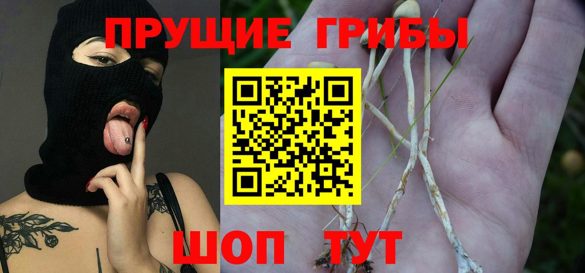 Псилоцибиновые грибы ЛСД Дюртюли